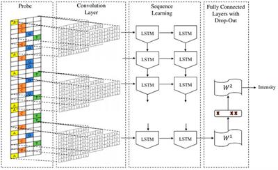 Deep learning for MYC binding site recognition